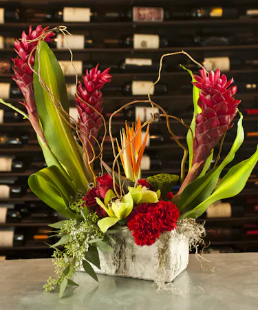 Rain Dance Bouquet tropical Arrangement Columbus Ohio Florists Newark OH
