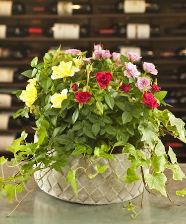 Rose Garden Planter Plants Columbus Ohio Florists Newark Oh Griffins