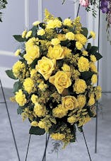 Yellow Beauty