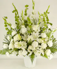 Traditions Of White