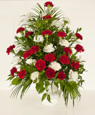 Red & White Carnation Mache