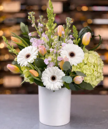 White gerbera daisies, green hydrangea, and pastel tulips in white vase delivered in Columbus, Ohio.