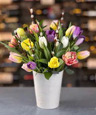 Spring’s Tulip Jubilee