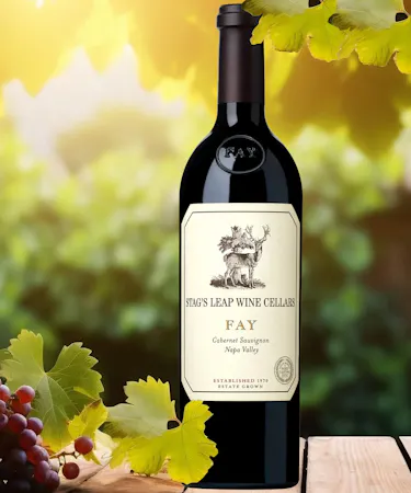 Stags Leap FAY Cabernet Sauvignon New Albany Ohio Wines Newark Ohio