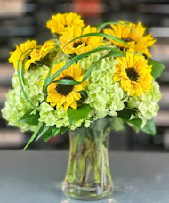 Summer Breeze Sunflowers