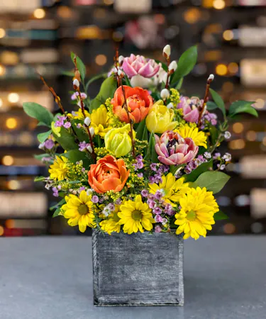 Yellow daisies and colorful tulips in rustic box delivered in Columbus, Ohio.