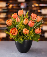 Sunset Tulips