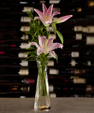The Starfighters Bud Vase