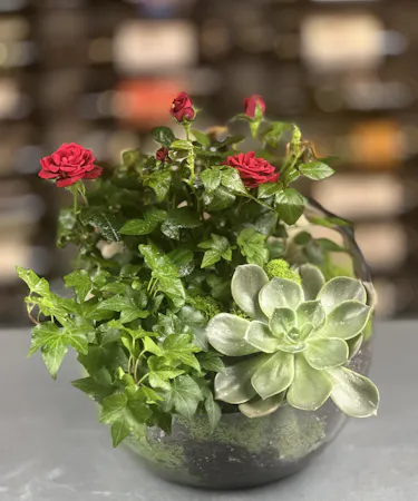 Timeless Rose Terrarium