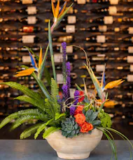 Tropical Luxe
