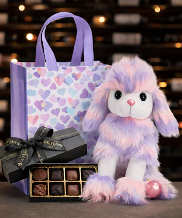 Pastel plush poodle Valentine gift with chocolates delivered in Central Ohio.