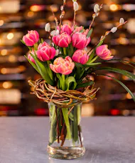 Whispering Tulip Nest