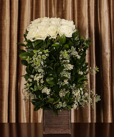 White Rose Hedge Sympathy Flowers Columbus Ohio
