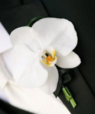 White phalaenopsis Orchid Boutonniere