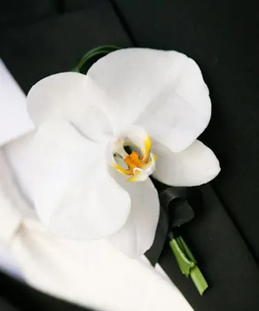 White phalaenopsis Orchid Boutonniere Corsages columbus ohio florists newark OH