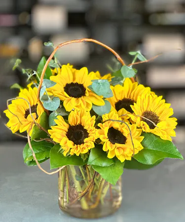 Bright sunflower bouquet with curly willow and eucalyptus in a clear glass vase, designed by Griffin’s Floral Design in Columbus, OH.