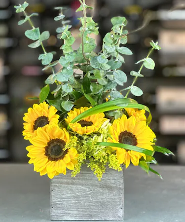 Bright sunflower arrangement with eucalyptus and greenery in a weathered wood cube, designed by Griffin’s Floral Design.