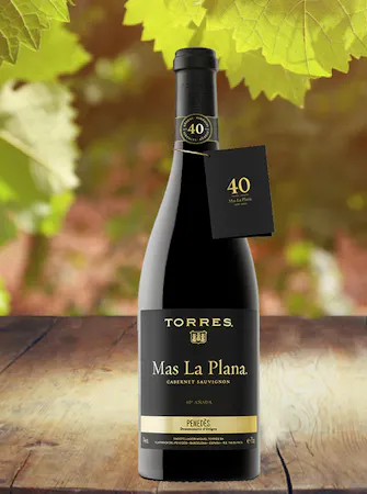 torres mas la plana Cabernet New Albany Ohio Wines Newark Ohio