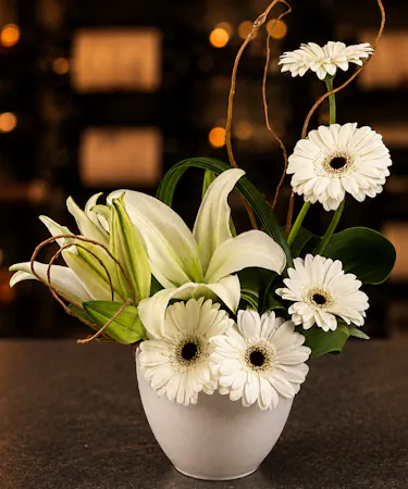 Modern white lily and gerbera daisy arrangement in a ceramic container delivered in Columbus, Ohio.