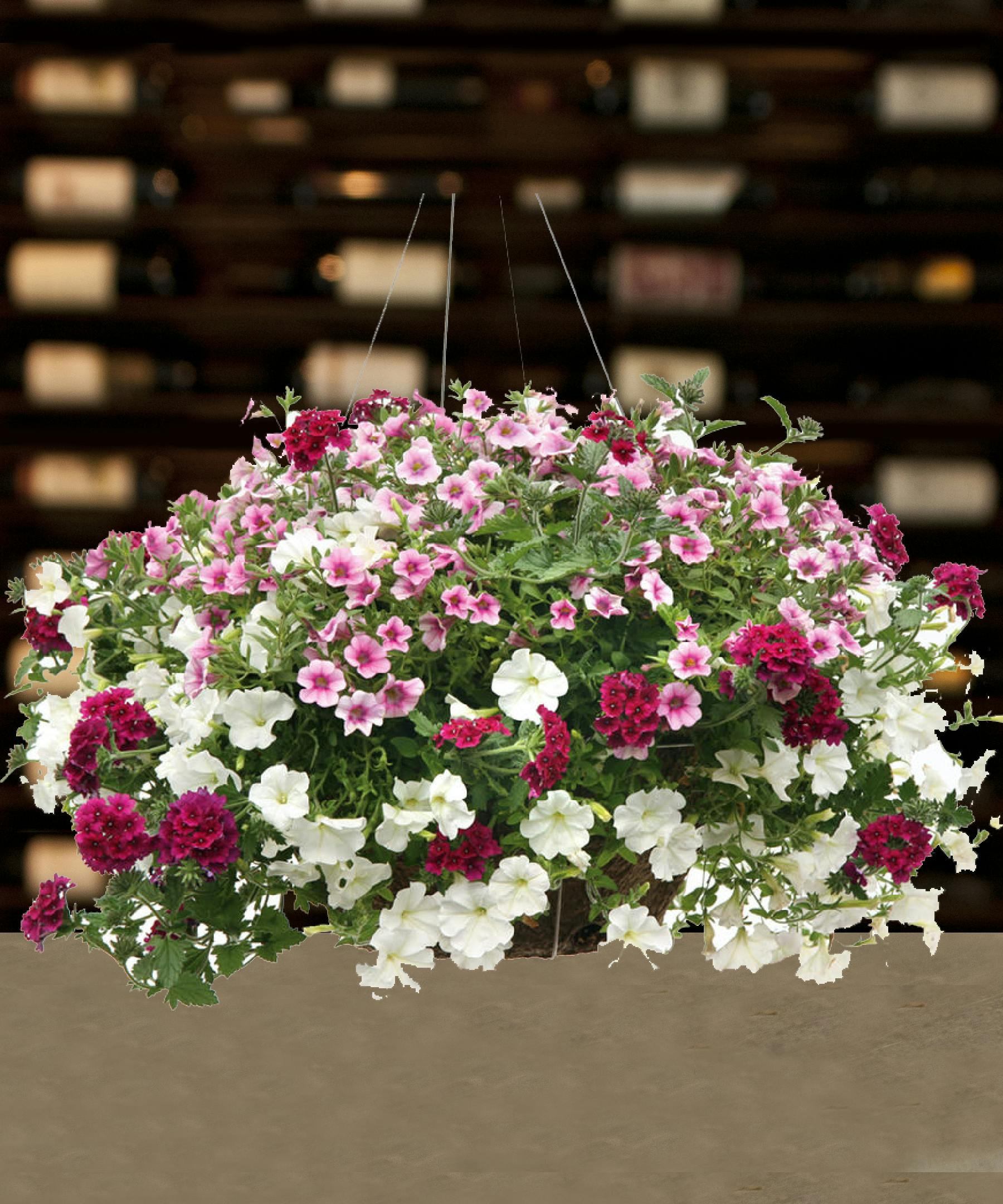 Mixed Hanging Basket Delivered Columbus Ohio Griffins Floral